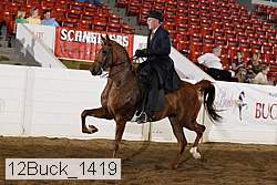 12buck_1419 proof