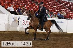 12buck_1420 proof