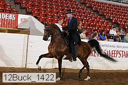 12buck_1422 proof