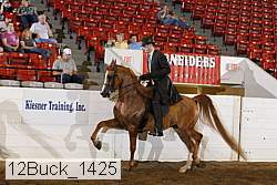 12buck_1425 proof