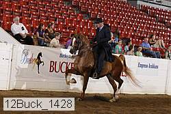 12buck_1428 proof