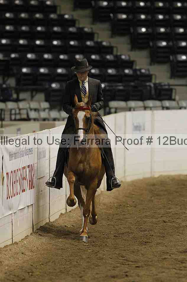 Proof 12buck_1439