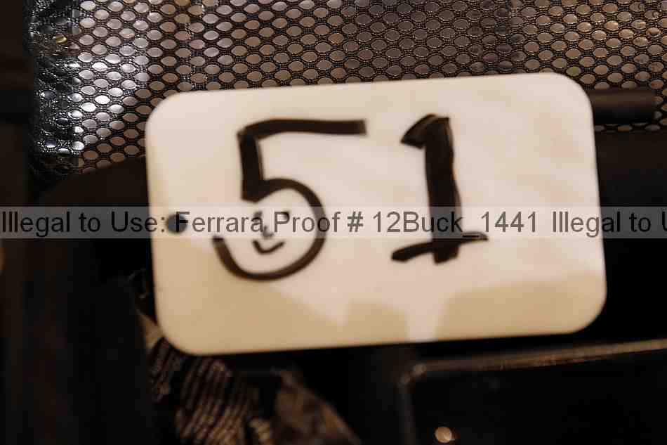 Proof 12buck_1441