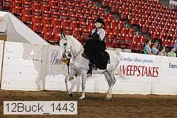 12buck_1443 proof