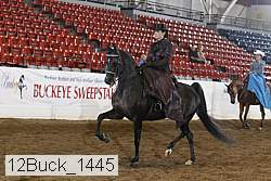 12buck_1445 proof