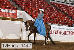 12buck_1447 proof