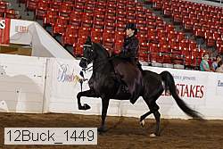 12buck_1449 proof