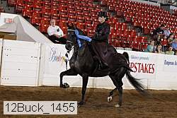 12buck_1455 proof