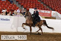 12buck_1460 proof