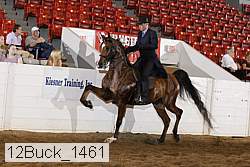 12buck_1461 proof