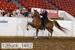 12buck_1462 proof