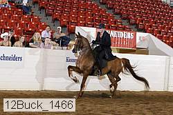 12buck_1466 proof