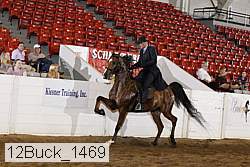 12buck_1469 proof