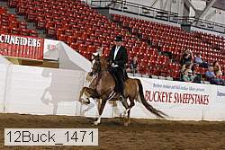 12buck_1471 proof