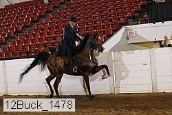 12buck_1478 proof