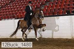 12buck_1480 proof