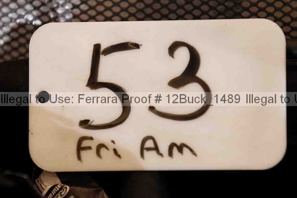 Proof 12buck_1489