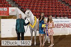 12buck_1492 proof