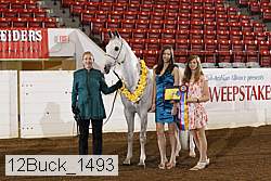 12buck_1493 proof