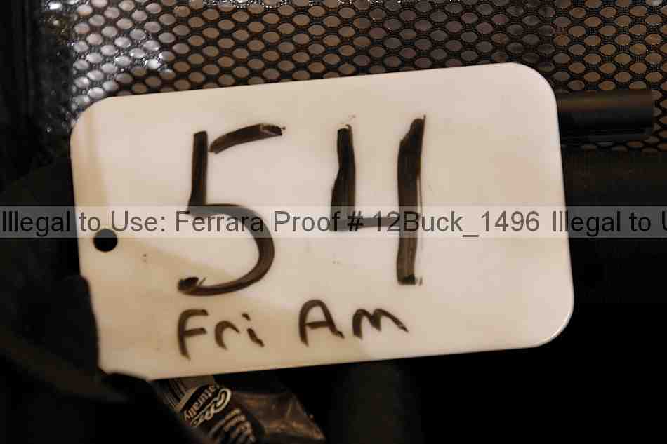 Proof 12buck_1496