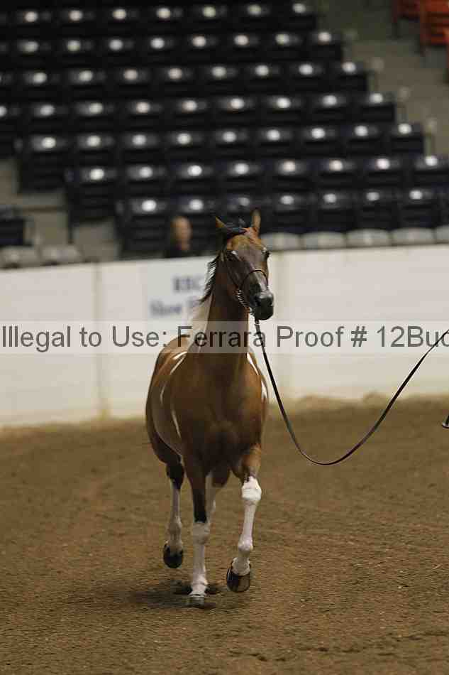 Proof 12buck_1498