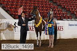 12buck_1499 proof