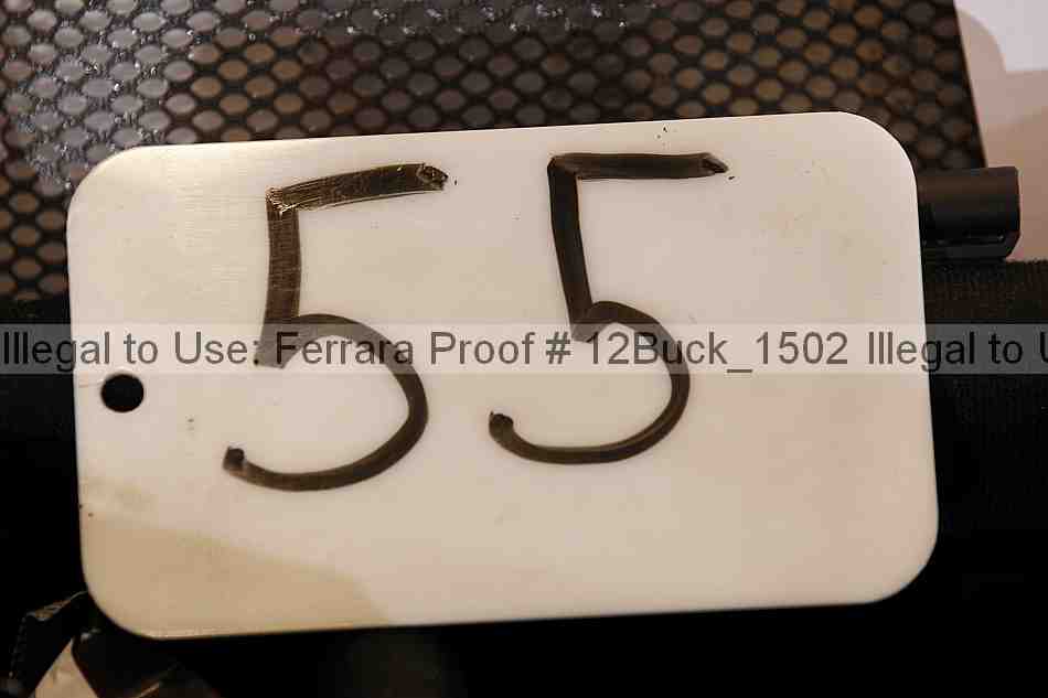 Proof 12buck_1502