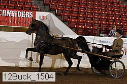 12buck_1504 proof