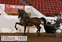 12buck_1505 proof