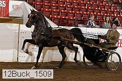 12buck_1509 proof
