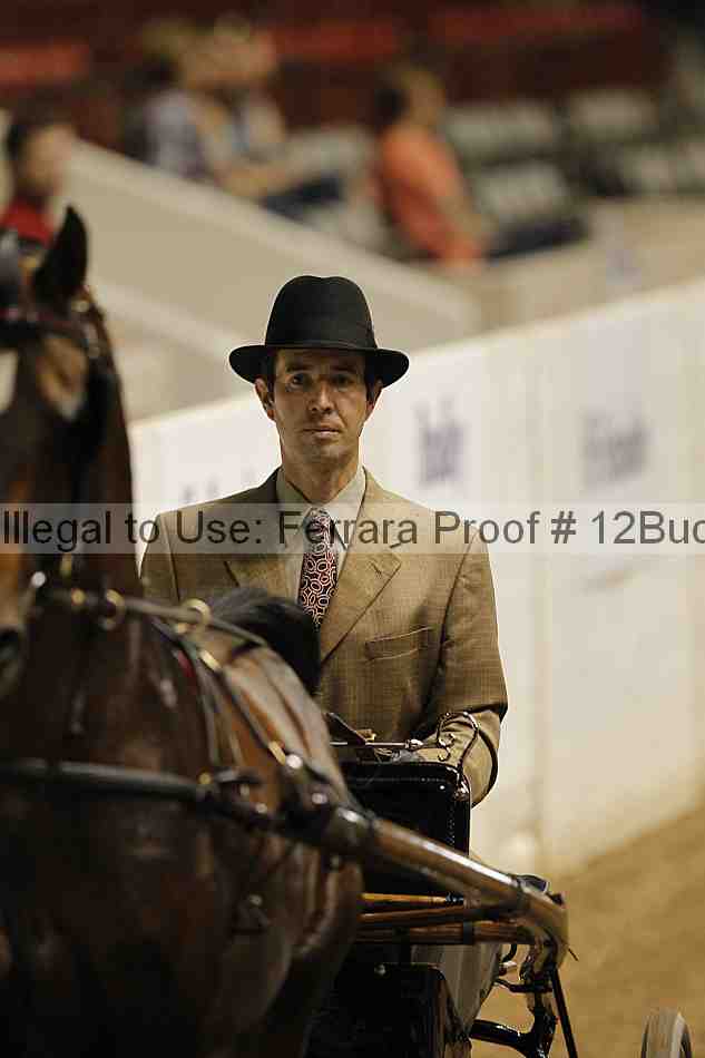 Proof 12buck_1510