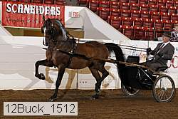 12buck_1512 proof
