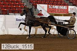 12buck_1515 proof