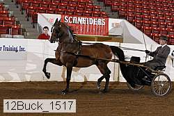 12buck_1517 proof