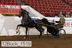 12buck_1519 proof