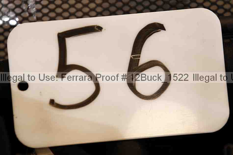 Proof 12buck_1522
