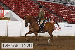 12buck_1526 proof