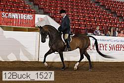12buck_1527 proof