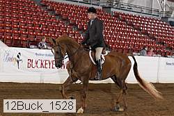 12buck_1528 proof