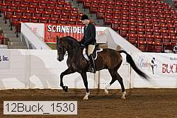 12buck_1530 proof