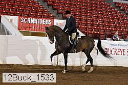12buck_1533 proof