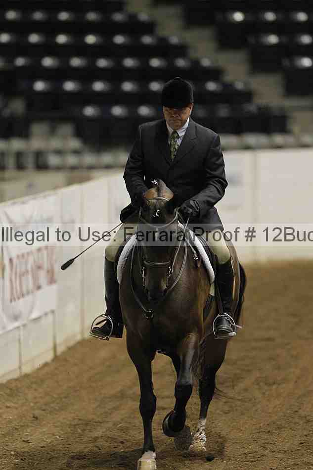 Proof 12buck_1535