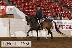 12buck_1536 proof