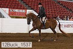 12buck_1537 proof