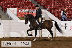 12buck_1540 proof