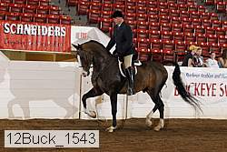 12buck_1543 proof