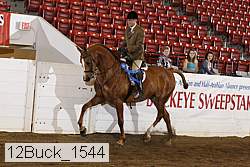 12buck_1544 proof