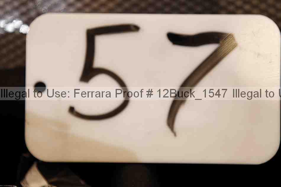 Proof 12buck_1547