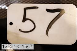 12buck_1547 proof