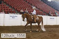 12buck_1556 proof